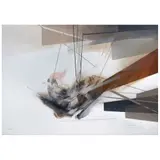 Gustavo Arias Murueta, Untitled