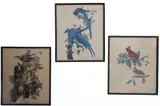 Untitled by J.J. Audubon, etching prints (3), offered Mar 2026
