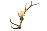Peter M. Fillerup, Untitled, bronze & elk antler wall light