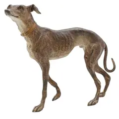 Franz Xaver Bergman, Standing Greyhound Cold-painted, bronze figure modeled as a standing greyhound, retaining original polychrome decoration