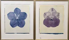 Vanda Panchera Delight by Linda Broadfoot, 2006, photograph prints, offered Sep 2026
