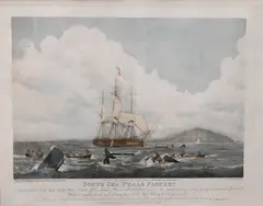 William Huggins, South Sea Whale Fishery, Lithograph