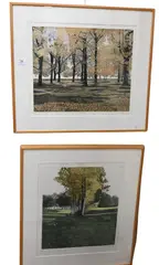Saplings by Phil Greenwood, 1979, Aquatint etching, offered Mar 2025