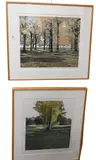 Phil Greenwood, Saplings, 1979, Aquatint etching