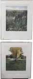 Phil Greenwood, Two "Stormglass", 1978, Aquatint etching