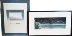 Jean Solombre, Tous Les Oiseaux des Monde, 1983, Aquatint etching diptych