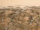Peter Holbrook, â€œSurf Pointâ€, 1982, Lithograph