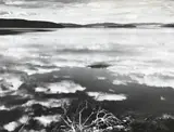 Ansel Adams, White Branches, Mono Lake, Cloud Reflections California