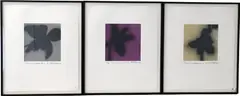 Stillness #2 by Brad Durham, 1999, Lithograph, offered Nov 2024