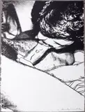 Andy Warhol, Fellatio, 1978, screenprint on HMP wove paper