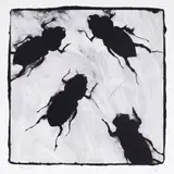 Donald Sultan, Bugs, 1998, silkscreen