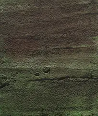 Isa Genzken, Basic Research, 1989, oil on canvas