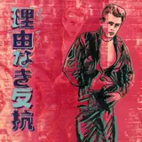 Andy Warhol, REBEL WITHOUT A CAUSE (James Dean), 1985, screenprint on Lenox Museum Board