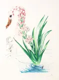 Salvador Dalí, Water Hibiscus And Swan, 1972, drypoint etching and lithograph on Arches paper