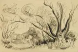Werner Drewes, Landscape, graphite on paper, 1935
