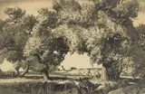 Stow Wengenroth, Cape Ann Willows, lithograph, 1947