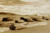 Roger Benedetti, Sand Dunes, Death Valley Californian sepia toned silver gelatin