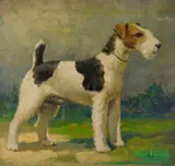 Wirehair Fox Terrier by Albert Pels, oil on canvas, offered Jun 2026