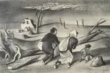 William Gropper, Uprooted, lithograph