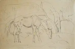 William Sommer, Grazing Horse, pen and ink on paper