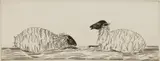 Józef Hecht, Two Sheep etchings, etching