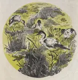 Gertrude Hermes, Welcome to the Avocets, woodcut in color, 1948