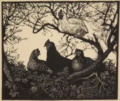 The Roost wood by Lionel Lindsay, engraving, 1937, offered Mar 2026
