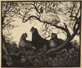 Lionel Lindsay, The Roost wood, engraving, 1937