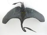 David Wynne, Soaring Bird, bronze sculpture, 1965, 28 1/2" across