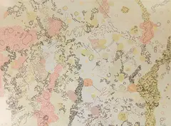 Nancy Graves, IX Sabine DM Region of the Moon, lithograph and Mylar in colors on chine colle, 1972
