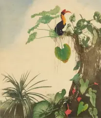 Leo Frank, The Hornbill woodblock in colors, signed Leo Frank in white, pencil in the