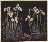 Lionel Lindsay, Frog & Irises wood, engraving