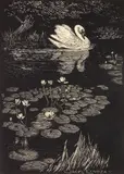 Lionel Lindsay, White Swan, woodcut