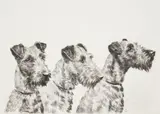 Marguerite Kirmse, The Three Musketeers, etching