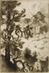 Old Pinon Tree by Gene Kloss, etching and drypoint, 1981, offered Feb 2026