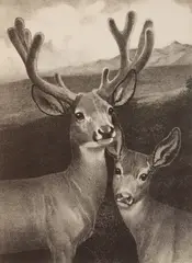 George Ford Morris, In The Velvet, lithograph, 1944