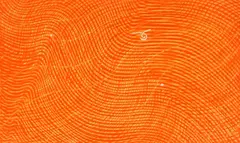 Stanley William Hayter, Petrel, etching in colors