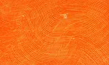 Stanley William Hayter, Petrel, etching in colors
