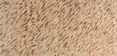 Untitled by Walter Stomps, gouache, offered Sep 2026