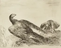 Stefano della Bella, Two Eagles on a Promontory, etching