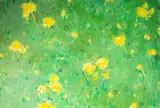 Walter Sorge, Untitled, watercolor painting of flowers
