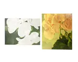 Untitled by Jack Griffin, oil on canvas paintings of flowers, offered Apr 2026