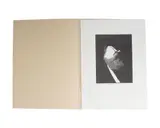 Barry Moser, Untitled, engraving
