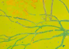 Untitled by Walter Sorge, mixed media, offered Nov 2025