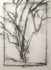 Untitled by Walter Stomps, charcoal drawing of a tree, offered Nov 2025