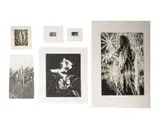 Untitled by Marla Friedrich, 1980s, woodcut, etchings, and lithograph, offered Jun 2025