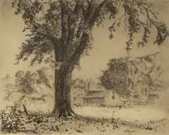 Louis Oscar Griffith, Giant Elm, etching