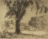 Louis Oscar Griffith, Giant Elm, etching