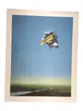 The Airplane by David Mann, lithograph 358/1000 2004 framed, offered Aug 2026