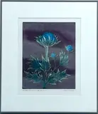 Aida Whedon, Another Kind of Thistle, Hand Colored Etching